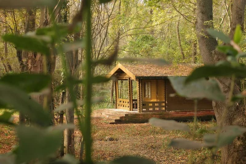 Fotografía de Cabaña Cielo de Mazamitla