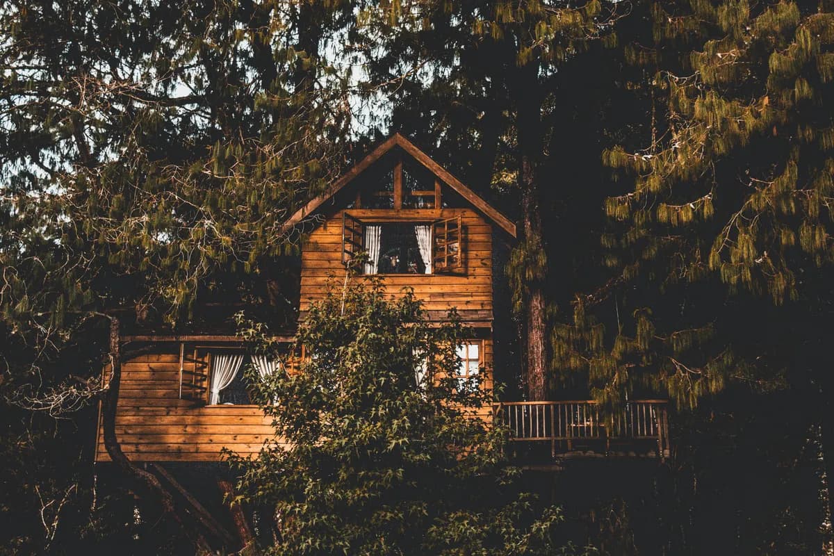 Fotografía de Cabaña Monte Sereno