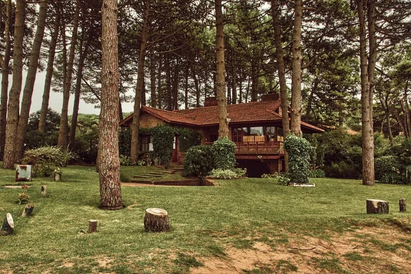 Fotografía de Cabaña Sierra Madera