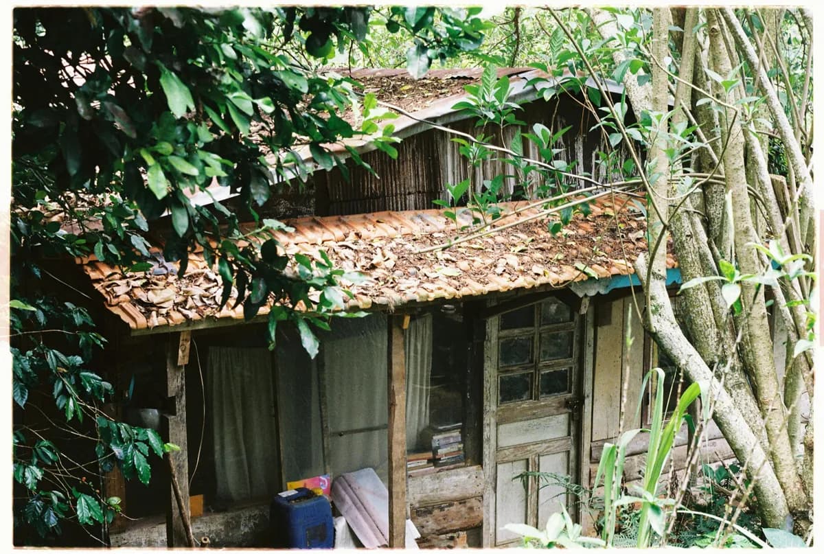 Fotografía de Cabaña Canto del Bosque